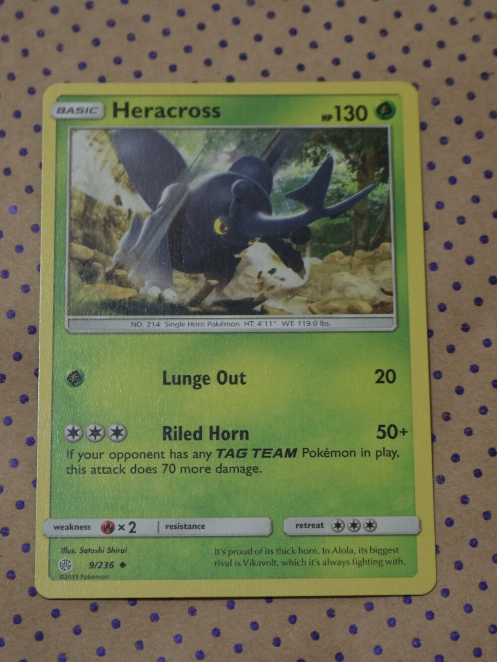 Heracross 9/236 Pokemon Card (2019)